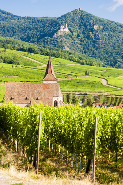 church with vineyard, Hunawihr, Alsace, France Stock photo © phbcz