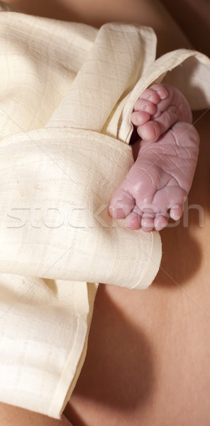 newborn baby's feet Stock photo © phbcz