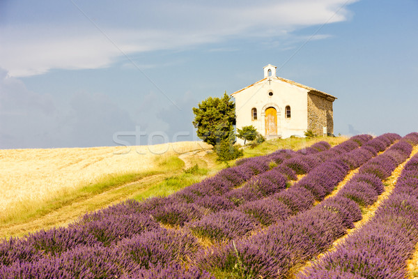 Stock photo: chapel with lavender and grain fields, Plateau de Valensole, Pro