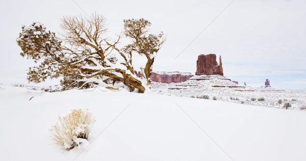 The Mitten, Monument Valley National Park, Utah-Arizona, USA Stock photo © phbcz