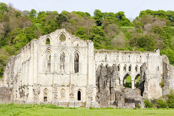 ruins of Rievaulx Abbey, North Yorkshire, England Stock photo © phbcz