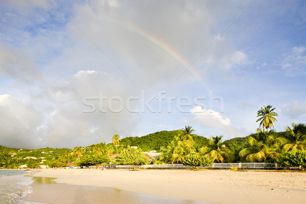 Grenada fa tájkép tenger nyár pálma Stock fotó © phbcz