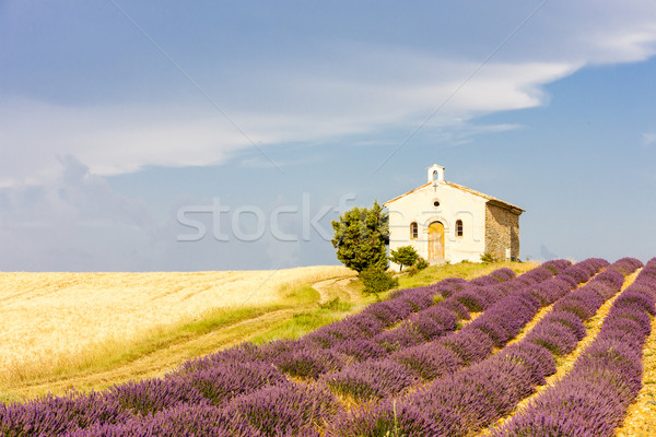 chapel with lavender and grain fields, Plateau de Valensole, Pro Stock photo © phbcz