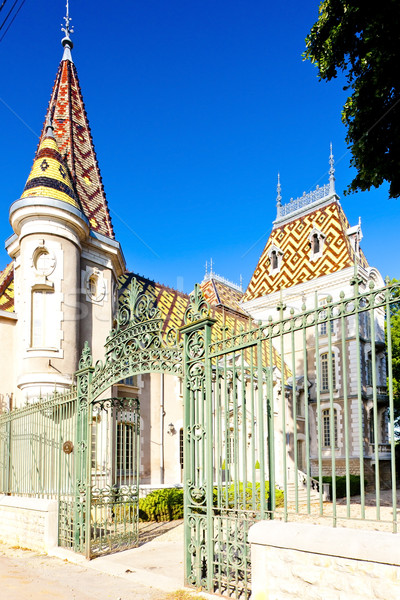 Chateau de Corton, Burgundy, France Stock photo © phbcz