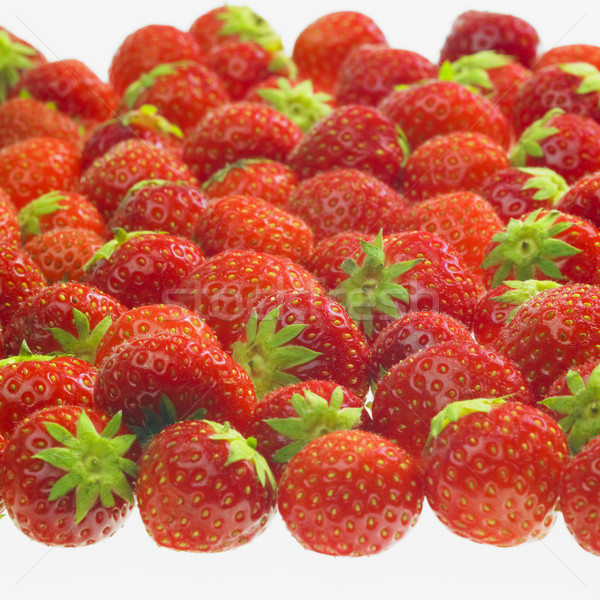 strawberries Stock photo © phbcz