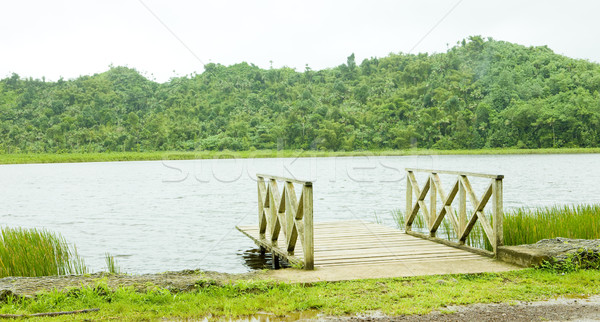Grand Etang lake, Grand Etang National Park, Grenada Stock photo © phbcz