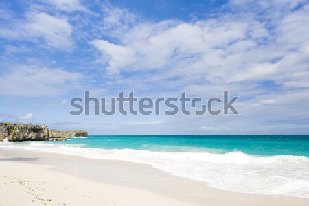 Alt Barbados caribbean manzara deniz cennet Stok fotoğraf © phbcz