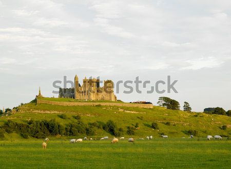 Rock of Cashel, County Tipperary, Ireland Stock photo © phbcz