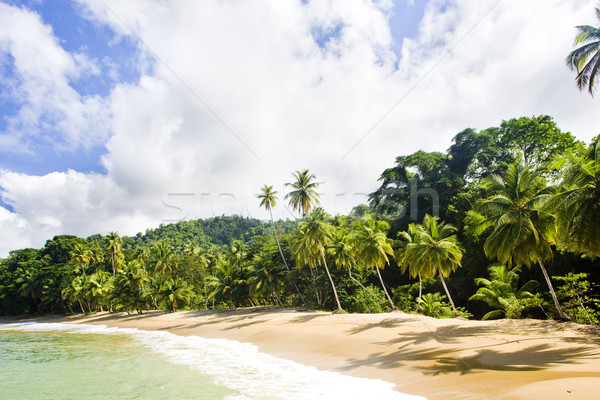 Englishman's Bay, Tobago Stock photo © phbcz