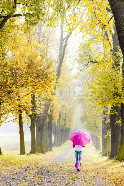 woman wearing rubber boots with umbrella in autumnal alley Stock photo © phbcz