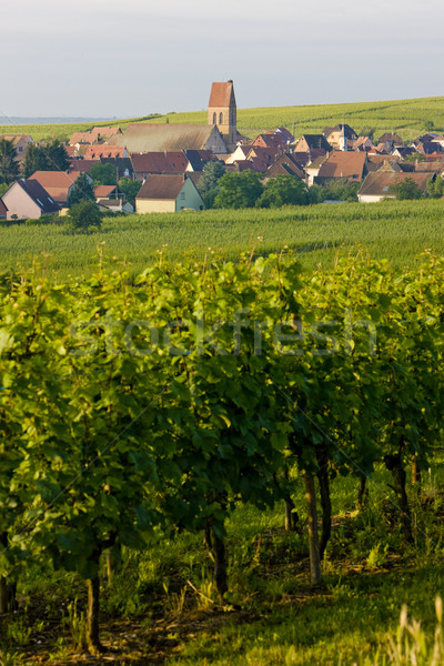 Voegtlinshoffen, Alsace, France Stock photo © phbcz