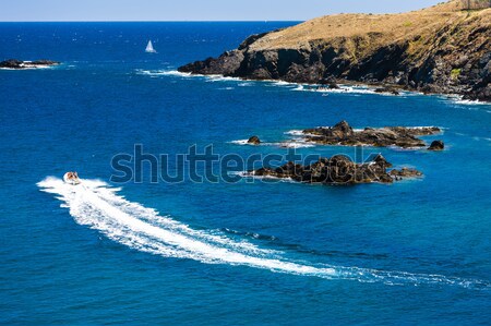Cap de Peyrefite, Languedoc-Roussillon, France Stock photo © phbcz