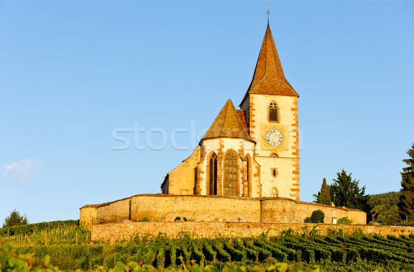 church with vineyard, Hunawihr, Alsace, France Stock photo © phbcz