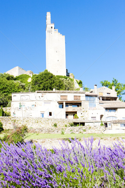Chamaret with lavender field, Drome Department, Rhone-Alpes, Fra Stock photo © phbcz
