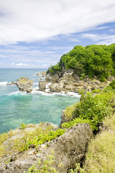 Barbados Karaibów krajobraz morza podróży raj Zdjęcia stock © phbcz