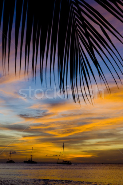 sunset over the Caribbean Sea, Grand Anse Bay, Grenada Stock photo © phbcz