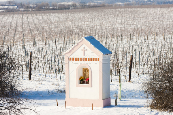 God's torture near Hnanice with winter vineyard, Southern Morav Stock photo © phbcz