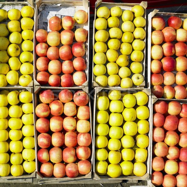 Äpfel Serbien Obst Gesundheit Hintergrund essen Stock foto © phbcz