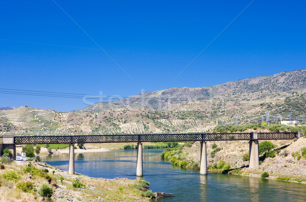 Eisenbahn Tal Portugal Landschaft Brücken Freien Stock foto © phbcz