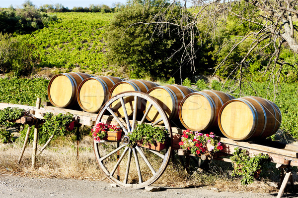 vineyard with barrels, Villeneuve-les-Corbieres, Languedoc-Rouss Stock photo © phbcz