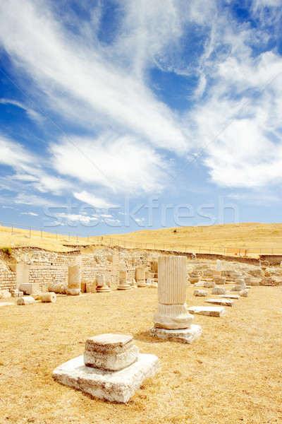 Archeologiczny miejsce Roman miasta architektury ruiny Zdjęcia stock © phbcz