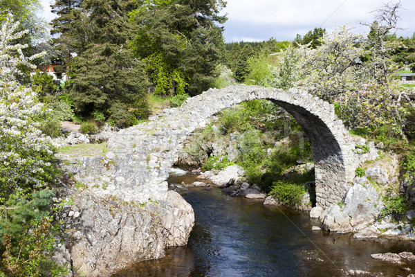 Old Packhorse bridge, Carrbridge, Highlands, Scotland Stock photo © phbcz
