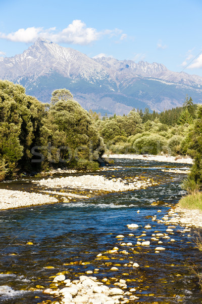 Krivan Mountain and Koprovsky brook, High Tatras, Slovakia Stock photo © phbcz