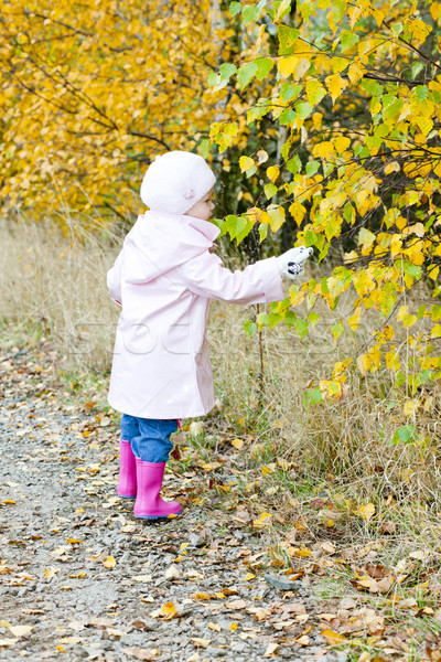 little girl in autumnal nature Stock photo © phbcz