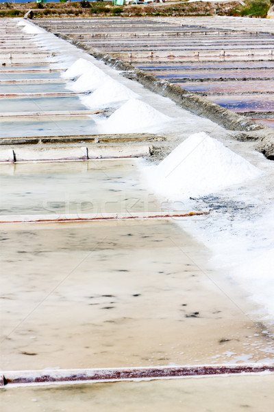 saline in Troncalhada, Beira, Portugal Stock photo © phbcz