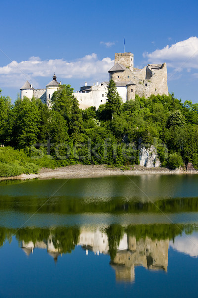 Niedzica Castle, Poland Stock photo © phbcz