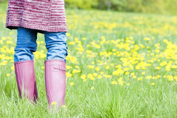 Dettaglio donna indossare stivali di gomma primavera prato Foto d'archivio © phbcz