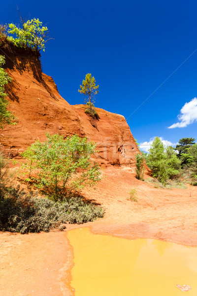 Colorado Frankreich Baum Reise rock Europa Stock foto © phbcz