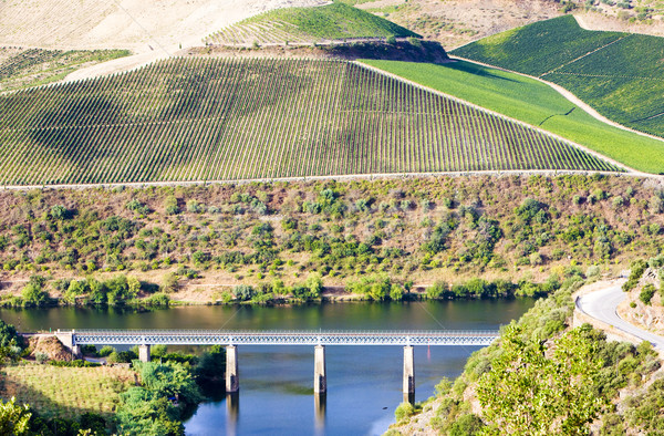 Stock photo: railway viaduct in Douro Valley, Portugal