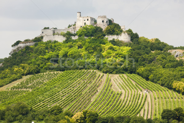 Ruiny zamek winnicy obniżyć Austria budynku Zdjęcia stock © phbcz