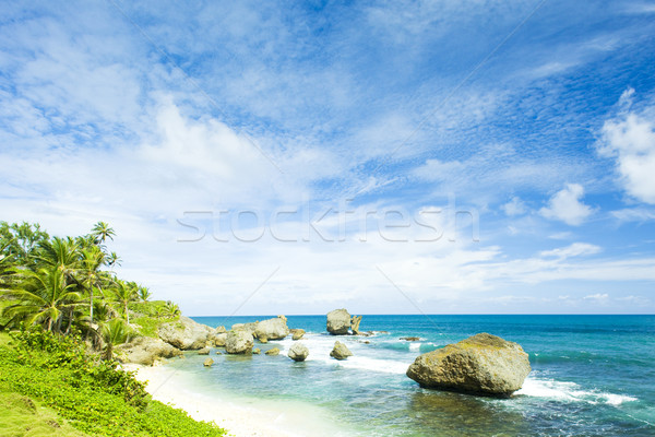Bathsheba, East coast of Barbados, Caribbean Stock photo © phbcz