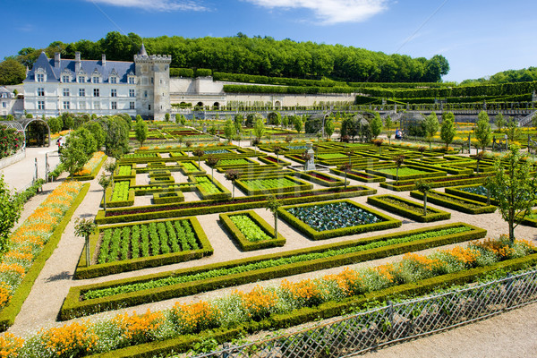 Villandry Castle with garden, Indre-et-Loire, Centre, France Stock photo © phbcz