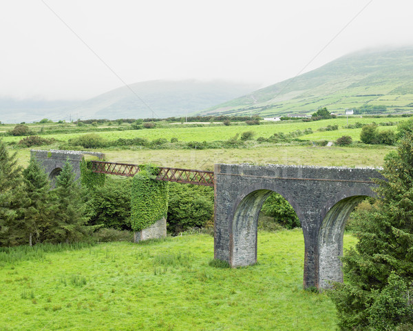 Stock photo: viaduct, Lispole, County Kerry, Ireland