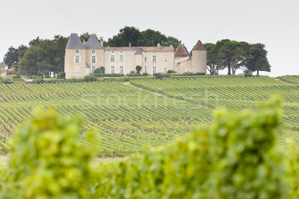 vineyard and Chateau d'Yquem, Sauternes Region, France Stock photo © phbcz