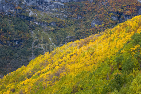 landscape near Melkevollbreen Glacier, Jostedalsbreen National P Stock photo © phbcz
