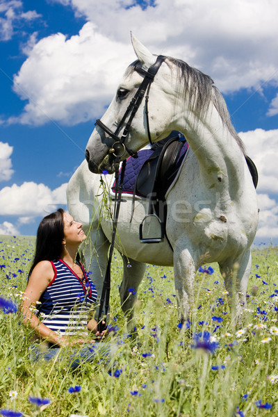 equestrian with a horse on meadow Stock photo © phbcz