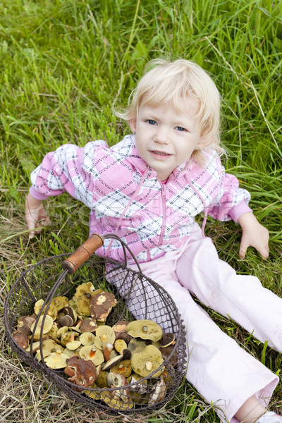 little girl with basket of mushrooms Stock photo © phbcz