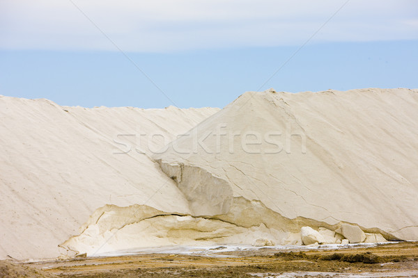 salt, Parc Regional de Camargue, Provence, France Stock photo © phbcz