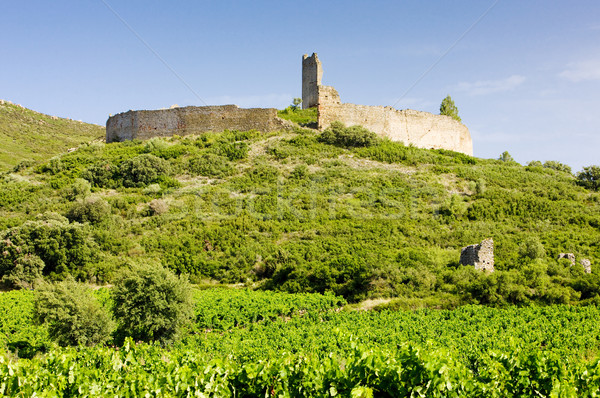 Chateau-le-Castellas with vineyard, Languedoc-Roussillon, France Stock photo © phbcz