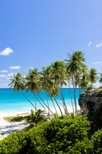 Bottom Bay, Barbados, Caribbean Stock photo © phbcz