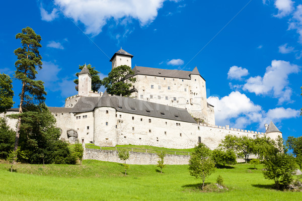 Burg senken Österreich Reise Architektur Stock foto © phbcz