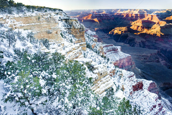 Grand Canyon park tél Arizona USA tájkép Stock fotó © phbcz