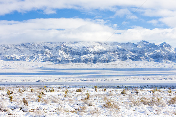 Montanhas Las Vegas Nevada EUA paisagem neve Foto stock © phbcz