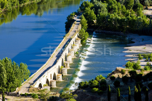 Roman bridge, Toro, Zamora Province, Castile and Leon, Spain Stock photo © phbcz