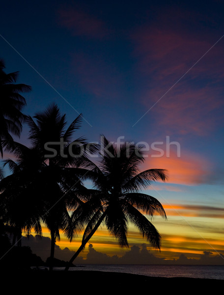 sunset over Caribbean Sea, Turtle Beach, Tobago Stock photo © phbcz