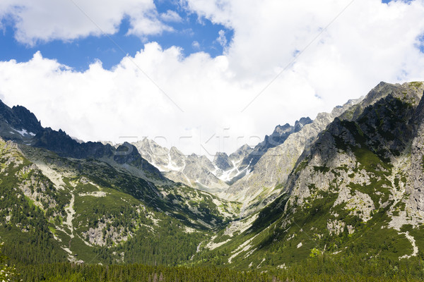 Stock photo: Mengusovska Valley, Vysoke Tatry (High Tatras), Slovakia